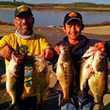Light Wire Long Shank Neck EWG Offset Worm Hook Wide Swimbait Weedless Fishing Terminal Tackle - 25/PK LIGHT WIRE Long Neck EWG Hook 5/0 - View 5
