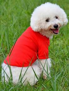 1pc Spring/Summer New Pet Apparel, Dog Polo Shirt, Teddy Bear & Small Dog Polo Shirt - Multicolor - View 6