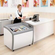 9.3 Cu.ft Ice Cream Meal Stand
