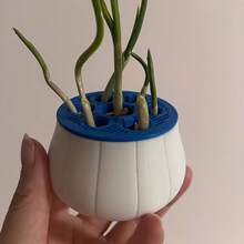 一套大蒜和韭菜水培再生套装，家用园艺黑白盖套装，易于识别和重复使用。无土种植盒，操作简单，持续收获。四季皆宜的可重复种植大蒜盆栽。 - A - 查看 2