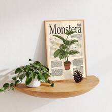 1幅复古龟背竹植物墙画，复古科学插画植物养护指南帆布印刷画|大型热带绿植百科全书装饰画，适用于卧室、客厅或办公室家居装饰，中世纪现代农舍风格海报，送给爱植物人士的精美礼物，可选择无框或有框 - 圖案 - 查看 4