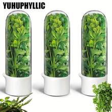 YUHUPHYLLIC Large Refrigerated Herb Storage Box, Refrigerated Coriander Storage Box, Herb Storage Box, Coriander Storage Box, Parsley, Asparagus, Mint Storage Box, Green Vegetable Storage Box For 2-3 Weeks, Refrigerator Storage Box, Refrigerator Kitchen Supplies - 草本保鮮盒 - 查看 1