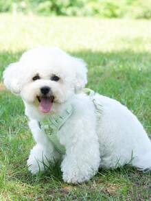 Medium/Small Dog Anti-Escape Adjustable Breathable Mesh Padded Vest-Style Pet Harness, Reflective Design Suitable For Walking, Hiking, Training, Daily Use, Great Value Set For New Pet Owners - Multicolor - View 9