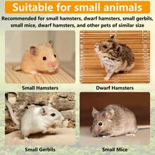 1个小型宠物木制仓鼠轮带支架，静音仓鼠运动轮，适用于沙鼠、豚鼠、仓鼠（15厘米/19厘米/21厘米/23厘米/26厘米） - 彩色 - 查看 8