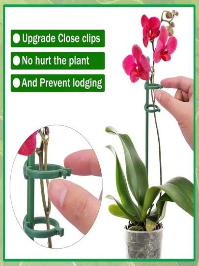1/5/10/15个装绿色植物支架，适用于室内外植物，可用于盆栽番茄、牡丹、百合、玫瑰等植物和花卉/蔬菜（16英寸）