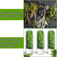 YUHUPHYLLIC Large Refrigerated Herb Storage Box, Refrigerated Coriander Storage Box, Herb Storage Box, Coriander Storage Box, Parsley, Asparagus, Mint Storage Box, Green Vegetable Storage Box For 2-3 Weeks, Refrigerator Storage Box, Refrigerator Kitchen Supplies - 草本保鮮盒 - 查看 6
