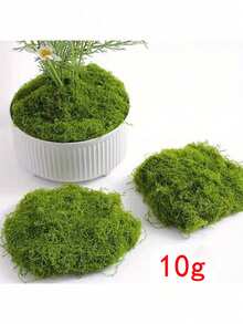 100克人造苔藓，适合DIY手工和家居装饰 - 逼真的绿色植物草，非常适合微缩景观、婚礼装饰、人造苔藓绳、仿真苔藓、室内植物装饰、室内绿色苔藓、室内艺术景观装饰、园艺装饰、DIY手工苔藓、桌面装饰苔藓、童话花园婚礼装饰，可塑性强，圣诞节假日礼物 - 綠色 - 查看 12