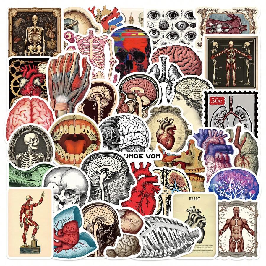 50Pcs Retro Scientific Anatomy Stickers, High Quality Stickers Decals Scrapbook, Diary, Laptop, Bumper, Skateboard, Water Bottle, Computer, Phone, Hard Hat, Car, Tablet Stickers - Random Style - View 1