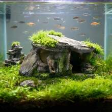带人工露台遮蔽的装饰性水族箱 - 适用于爬行动物、鱼类、乌龟、青蛙和陆龟 - A - 查看 9