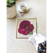Double Glass Frame For Pressed Flowers,  Photo And Artwork,Hanging Pressed Flower Frames,Wall Decor Clear Floating Frame Display For  Art And Memento (Gold, 4x4) - Gold4x4 - View 8