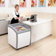 5.4 Cu.ft Ice Cream Meal Stand