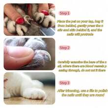 This Brand New Pet Grooming And Cleaning Set Is Suitable For Cats And Dogs: Including Self-Cleaning Brush, Nail Clippers, Comb, Deshedding Brush, And Toothbrush, To Keep Your Beloved Pets Clean, Healthy And Happy. This Is An Essential Pet Grooming And Cleaning Set. - Nhiều màu - Xem 7