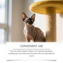 Pet Eye Tear Stain Remover Cream, Gentle Tear Stain Cleaner For Cats And Dogs, Convenient Daily Care - View 5