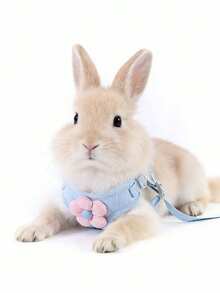 1pc Adjustable Bow Tie Rabbit Leash, Cute Bear Ear Rabbit Harness Leash, Suitable For Small Pets And Rabbits, Small Animal Collar And Leash, Harness Style Leash With Leash, Adjustable Leash - Multicolor - View 5