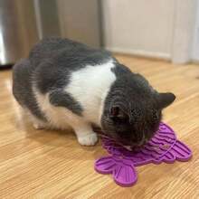 SPOT Soother Lick Mat-Licking Mat For Cats, Kittens, Medium And Large Dogs And Puppies,  Rubber, Anxiety Reliever, Dog Peanut Butter Lick Pad, Slow Feeder, 9.75inch, Fish - / - Xem 6