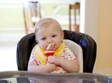 Nuby Garden Fresh Nibbler Mesh Feeder with Hygienic Cover, Colors May Vary - ColorA - Ver 1