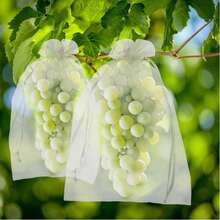 50/100pcs Fruit Protection Bags, Small Mesh Drawstring Net Bags Suitable For Grapes, Mangoes, Fruit Trees, And Various Fruits, Vegetables - Garden Plant Pest Protection Cover - 50PCS - View 2