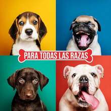 DOG-O-CHEW | Premios para Perro | Palitos de Carnaza | Sabor Natural | 100% Natural | NO Almidones | Carnazas para Perro | 100 pz | 5" (13 cm) | 1 kg - Blanco - Ver 3