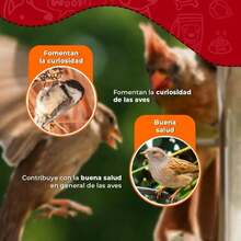 Fancy Pets RedKite Barrita de Frutas para Aves Canoras y de Ornato Snack Nutritivo 1 Pza - Blanco - Ver 2