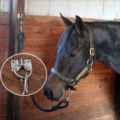 4个马用十字系绳环，带螺丝的块状系绳环，适用于马厩和马棚