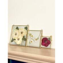 Double Glass Frame For Pressed Flowers,  Photo And Artwork,Hanging Pressed Flower Frames,Wall Decor Clear Floating Frame Display For  Art And Memento (Gold, 4x4) - Gold4x4 - View 9