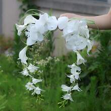 1pc Bohemian Style Elegant Simple & Generous Orchid Waterfall Bridal Bouquet, Engagement Registration Photography Handheld Flower Bunch, Suitable For Wedding And Studio Photography - Multicolor - View 5