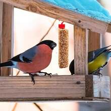 Fancy Pets RedKite Barrita de Frutas para Aves Canoras y de Ornato Snack Nutritivo 1 Pza - Blanco - Ver 3