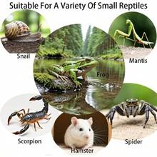 Acrylic Jumping Spider Enclosure, Reptile Enclosure, Bug Habitat, Small Tree Dwelling Reptiles, Arboreal Tarantula Enclosure, Spider Terrarium Kit, Plastic Terrarium4. Inch X 4. Inch X 8 Inch - A3 - Xem 8