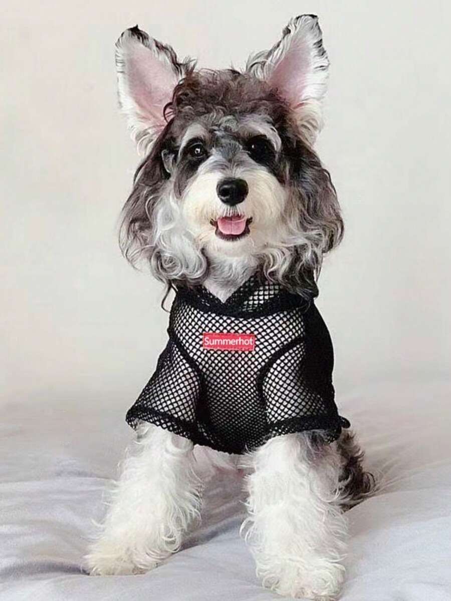 Lightweight Breathable Mesh Pet Sweatshirt, Suitable For Small Dogs And Cats In Summer - Black - View 1