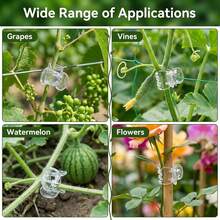 30/50/100 chiếc kẹp lan, kẹp cây trồng trong vườn bằng nhựa trong suốt, kẹp lan 6 càng, kẹp đỡ cây trồng trong vườn để hỗ trợ thân/dây leo/cành cây mọc thẳng đứng. - Nhiều màu - Xem 8