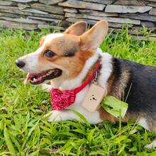 1pc Leather Dog Poop Bag Holder, Cute Pet Waste Bag Dispenser, Convenient Dog Poop Bag Carrier - Multicolor - View 2