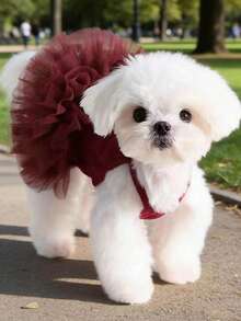 1pc Pet Dog Dress, Elegant Ballet Tulle Skirt Romantic Princess Dress, Suitable For Small Dogs & Cats, Sleeveless, Breathable, Spring/Summer - Burgundy - View 23