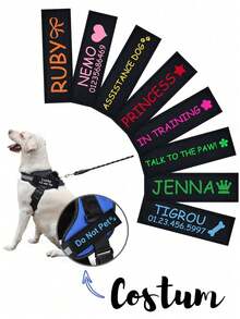 Patchs de harnais pour chien en polyester personnalisables avec nom d'animal de compagnie et icônes d'information personnalisés, étiquettes de harnais de poitrine, autocollants de rappel pour harnais pour chien, autocollants magiques personnalisés, accessoires pour harnais et collier pour chien, spécialement conçus pour la promenade du chien - Multicolore - Voir 1