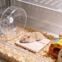 Tapis de refroidissement pour hamster, tapis de refroidissement anti-morsure et anti-basculement, facile à nettoyer, tapis de refroidissement d'été pour hamster, décoration de cage pour petits animaux de compagnie - Voir 6