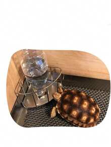 1个三角形乌龟饮水器，自动补水，不锈钢水碗和食盘，适用于乌龟、蛇、蜥蜴、小鸡、鸭子、刺猬、鸟类 - 均碼 - 查看 7