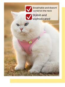 狗狗胸背带套装，防逃脱背心式胸背带，采用柔软网眼面料，配有可调节肩带和反光条，适合幼犬和幼猫。 - 彩色 - 查看 6