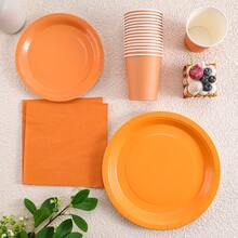 橙色一次性餐具套装，包括7/9英寸纸盘、纸杯、餐巾纸，适用于生日派对、节日、聚会、野餐、庆祝活动、婚礼茶会、毕业典礼等场合。 - 正雨橙色 - 查看 5