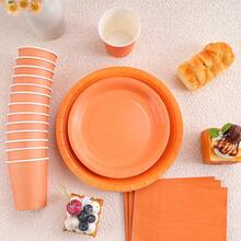 橙色一次性餐具套装，包括7/9英寸纸盘、纸杯、餐巾纸，适用于生日派对、节日、聚会、野餐、庆祝活动、婚礼茶会、毕业典礼等场合。 - 正雨橙色 - 查看 4