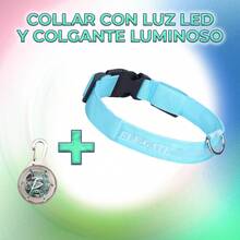 Pet Basic Dog Collars - Multicolor - View 7