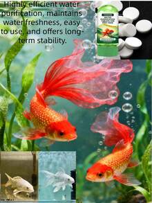 水族箱水質淨化錠，用於清潔、除臭、除藻、去除污漬與淤泥，使水族箱水質清澈 - 查看 5