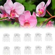 30/50/100 chiếc kẹp lan, kẹp cây trồng trong vườn bằng nhựa trong suốt, kẹp lan 6 càng, kẹp đỡ cây trồng trong vườn để hỗ trợ thân/dây leo/cành cây mọc thẳng đứng. - Nhiều màu - Xem 4