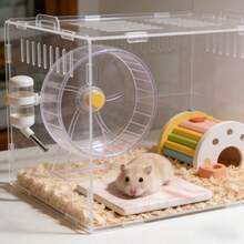 Tapis de refroidissement pour hamster, tapis de refroidissement anti-morsure et anti-basculement, facile à nettoyer, tapis de refroidissement d'été pour hamster, décoration de cage pour petits animaux de compagnie - Voir 7