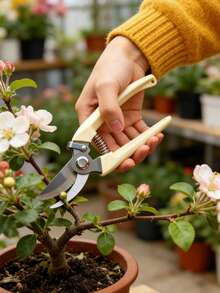 1/2把高品质不锈钢园艺剪刀，锋利弯刃修枝剪，适用于植物，重型手持修枝剪和园艺剪刀，防锈植物修剪器，可用于修剪树枝、花卉、香草、盆景、玫瑰，室内外园艺工具 - 園藝剪 - 查看 9