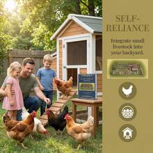 The Self-Sufficient Backyard: For The Independent Homesteader - 長方形 - 查看 6