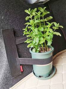 1 pieza maletero del coche elástico banda - Negro - Ver 5