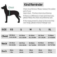 Áo phao hình cá mập có độ nổi cao, phản quang và có thể điều chỉnh, phù hợp cho chó nhỏ, vừa và lớn khi bơi lội, đi thuyền. - Màu xanh Cadet - Xem 3