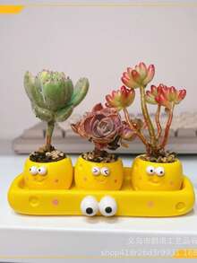 Creative Indoor Easy-Care Desktop Mini Succulent Micro Landscape Potted Plants - A - View 2