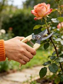 1/2把高品质不锈钢园艺剪刀，锋利弯刃修枝剪，适用于植物，重型手持修枝剪和园艺剪刀，防锈植物修剪器，可用于修剪树枝、花卉、香草、盆景、玫瑰，室内外园艺工具 - 園藝剪 - 查看 10