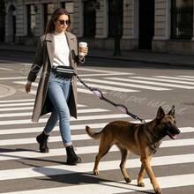 Dog Hands-Free Leash With Waist Pack, Retractable Pet Leash, Adjustable Waist Belt Pouch, Reflective Stitching Design, Suitable For Running, Walking, Hiking, Jogging - Multicolor - View 4