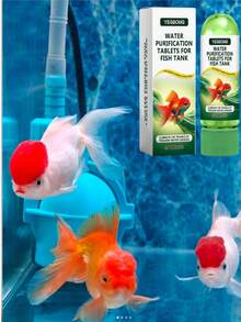 水族箱水質淨化錠，用於清潔、除臭、除藻、去除污漬與淤泥，使水族箱水質清澈 - 查看 2